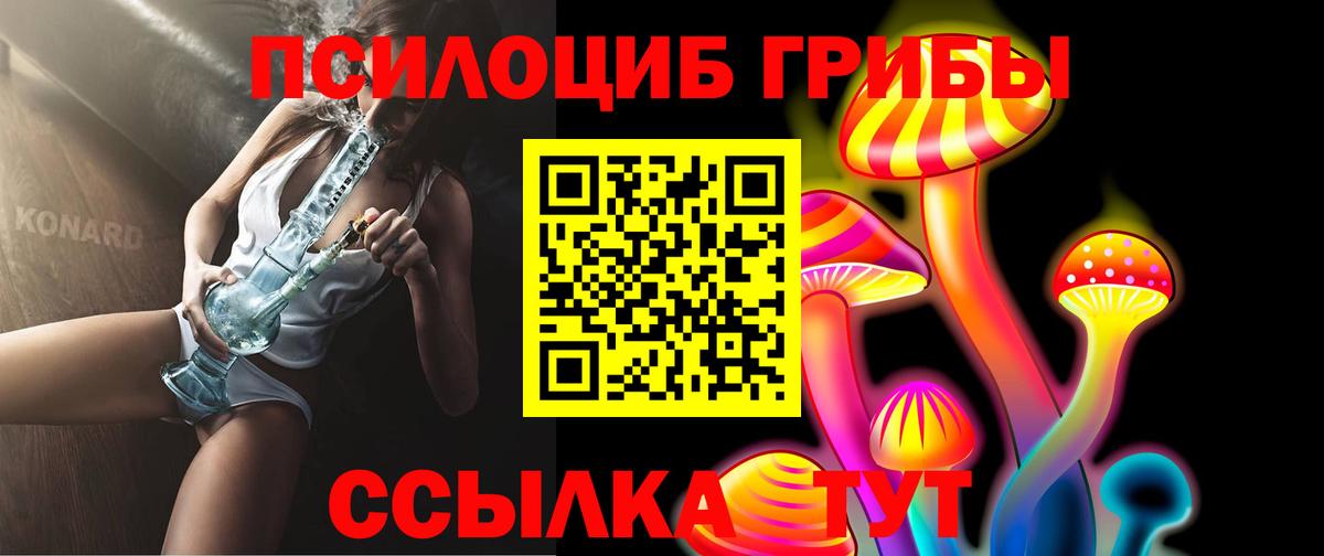 Псилоцибиновые грибы мицелий Михайловка