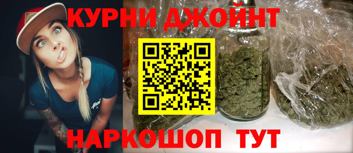 Бошки Шишки планчик Михайловка